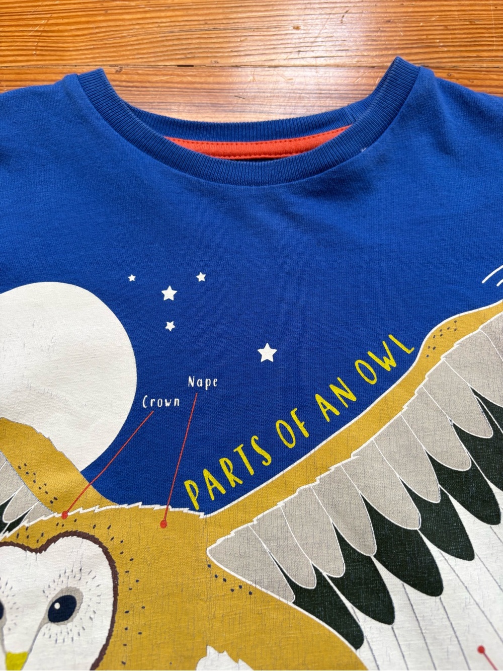 Mini Boden | Royal Blue Owl Education Graphic Top | Long-Sleeve Tee | 3-4 - Picture 2 of 7